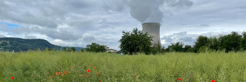 Photo_Rasa Smite_FiBL Research Fields in Leibstadt Switzerland_2022_header.jpg