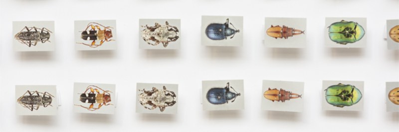 Joana Moll-071_header.jpg