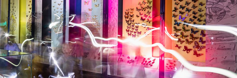 NMB_Detail_Museumsnacht-(c)Sara_Barth_2100x700px.jpg