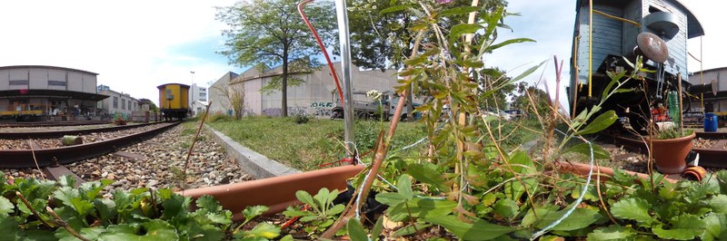 R0010310_header.jpg