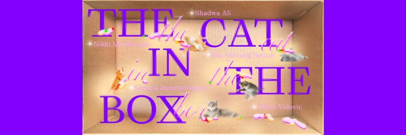 CatinBox_header.jpg