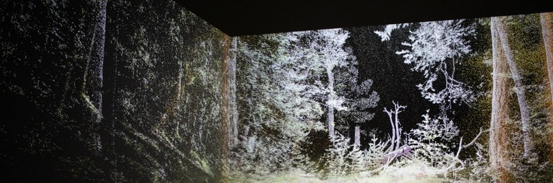010-o-AtmosphericForest_PurvitisPrize_PhotoKristineMadjare-original_header.jpg