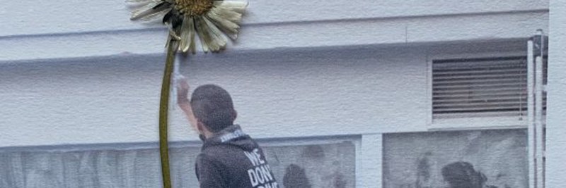 evelyne-roth_header.jpg