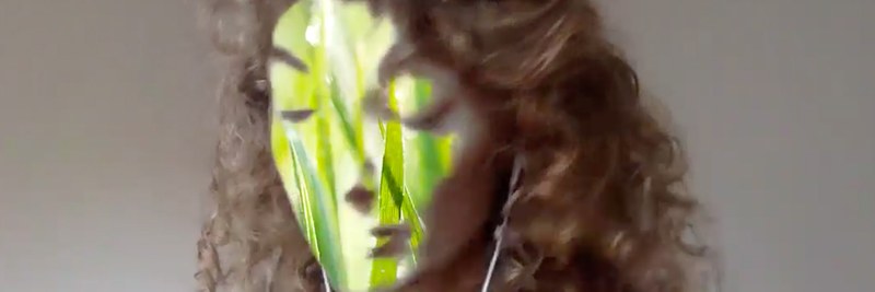 quinn-latimer_header.jpg