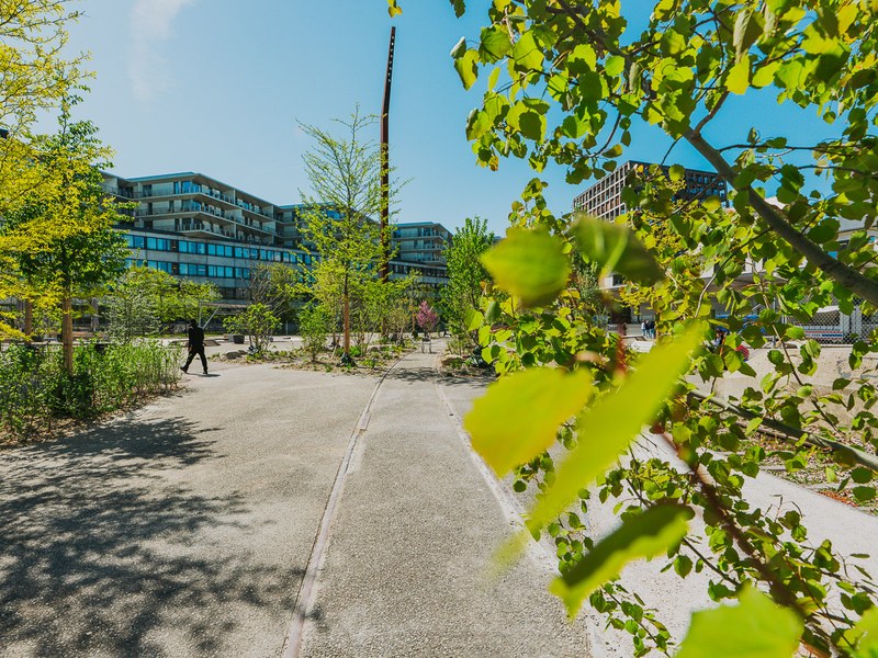 24-4-2026_FHNW_HGK_GREENING_CAMPUS_Pati Grabowicz_LOWRES-68.jpg