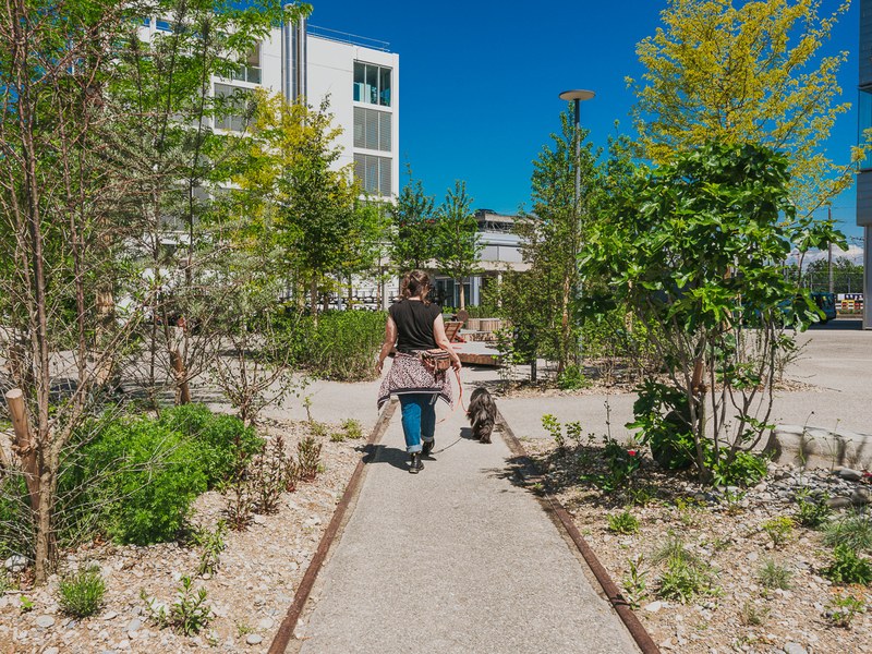 21-5-2026_FHNW_HGK_GREENING_CAMPUS_2_Pati Grabowicz_LOWRES-57.jpg