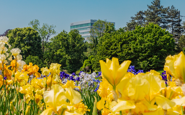 International Office HGK Basel