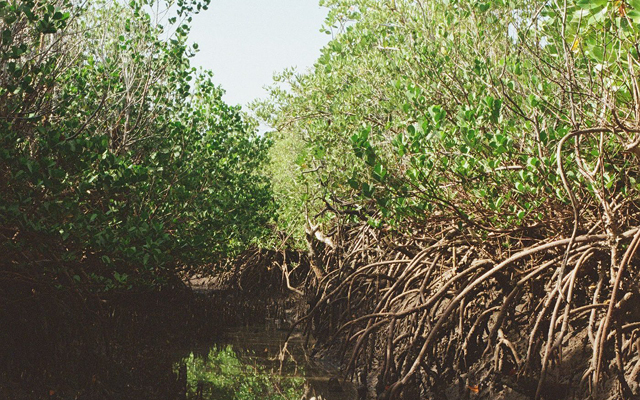 Grounded Transformation: Gestaltung als Prozess des Wandels