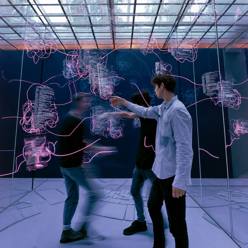 IMVS_Quadrat.png