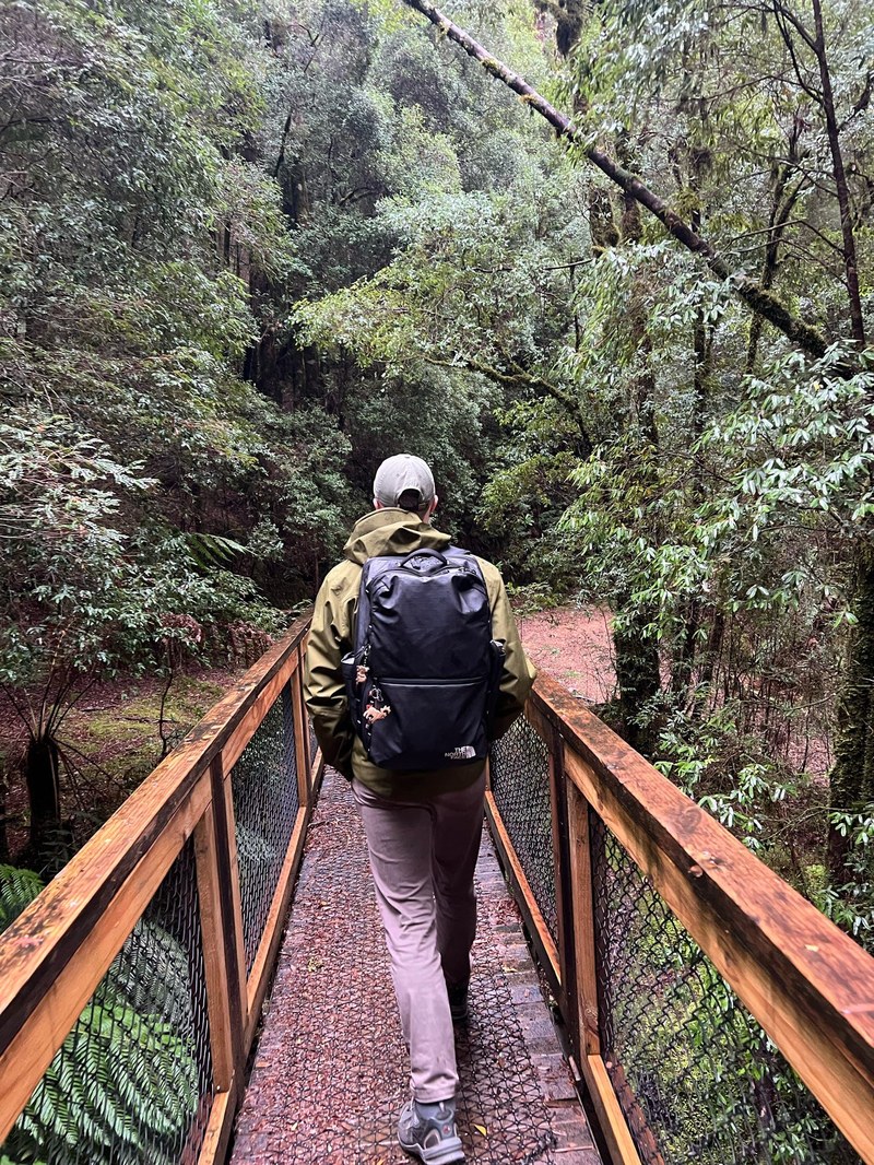 Hiking in a Tasmanian rainforest.jpg