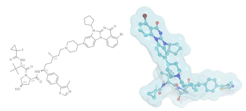 Ein PROTAC-Molekül (Proteolysis-Targeting Chimera)