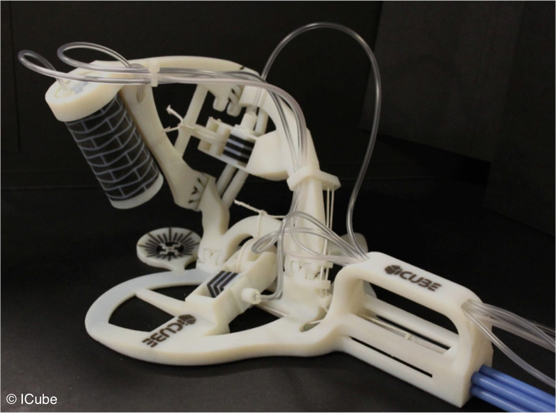 3D Printing of multimaterial polymer structures for the design of highly-integrated robotic structures. Picture represents a proof-of-concept developed at INSA Strasbourg - ICube lab (©ICUBE). From SPIRITS project webpage.