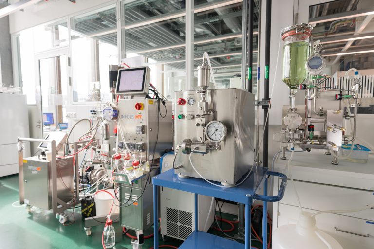 Plasmidproduktion und -reinigung