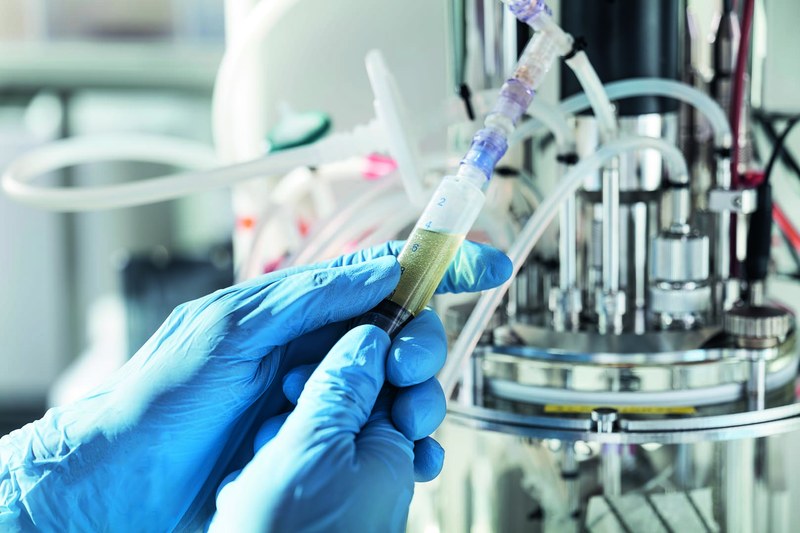 Probenahme aus dem Bioreaktor.