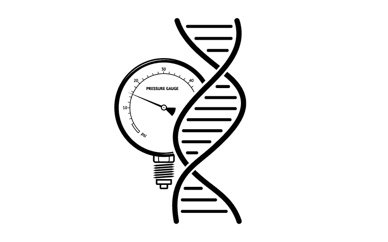 symbol-bt-teaser-hls-fhnw