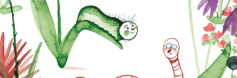 dRaupe_spinnt_Bold_Andrew_Header_2100_700.png