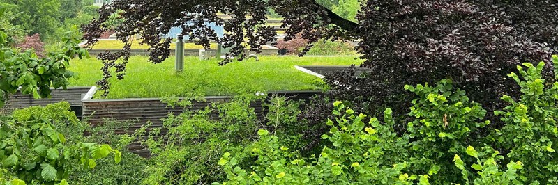 image_2100_700.jpg