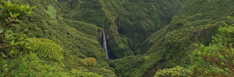 Elena Weber-topimage.png