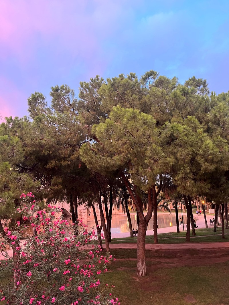 künstl Teich Valencia.jpg