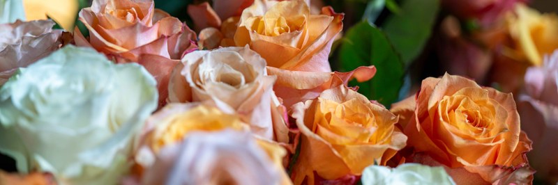 Rosen Header.jpg
