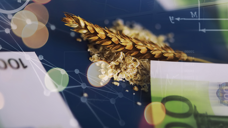 WAH Teaser_NEU_2560x1440.png