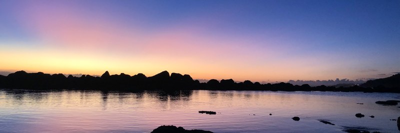 reunion-header.jpg