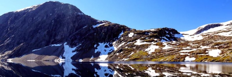 Nina_2100x700_Header.jpg