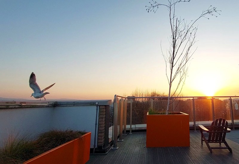 Soa Krummenacher_Dachterrasse.jpg