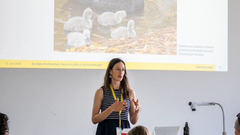 zukunftsforschung-mirjam-hauser-aps-fhnw.jpg