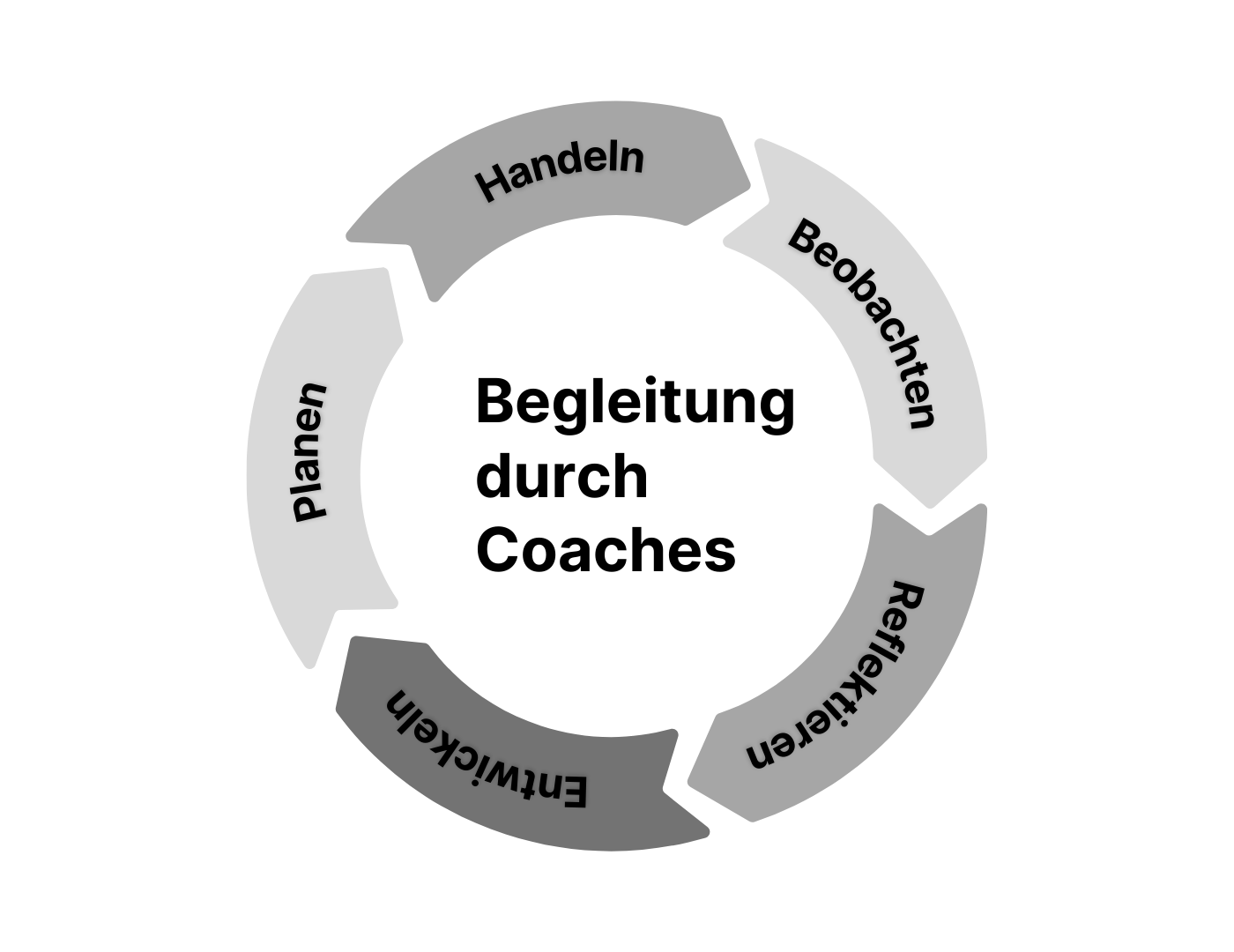 begleitung-duch-coaches-bsc-data-science-ht-fhnw.png