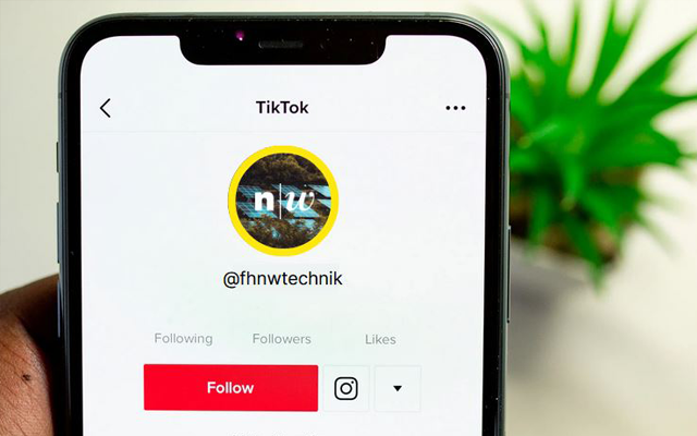 teaser_teaser-tiktok.png