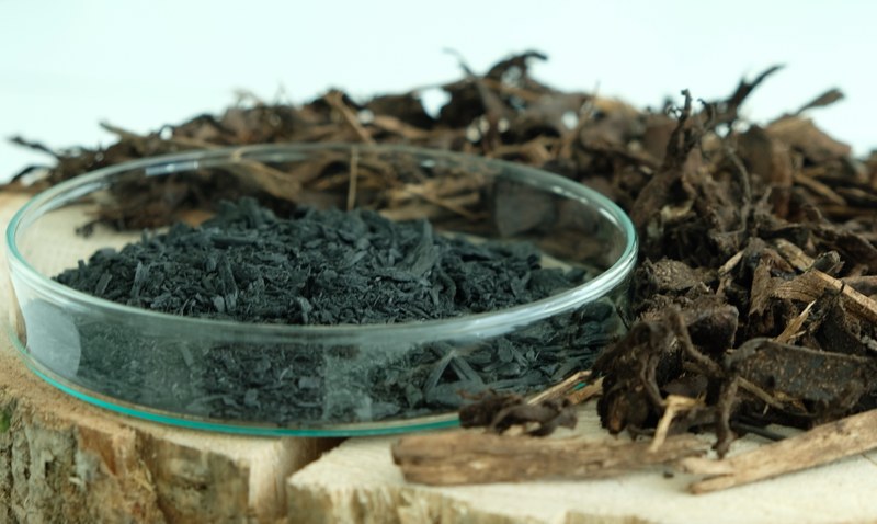 Getrocknete Bioabfälle und daraus generierte Pflanzenkohle
