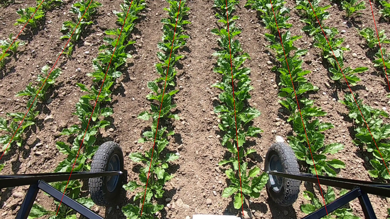 Bildbasierte Saatreihenerkennung.png