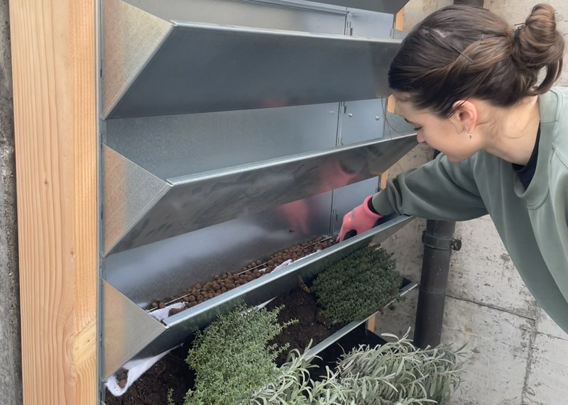 Noa Frey, bei der visuellen Aufwertung der Sammelstelle von Grüngut in Stallikon