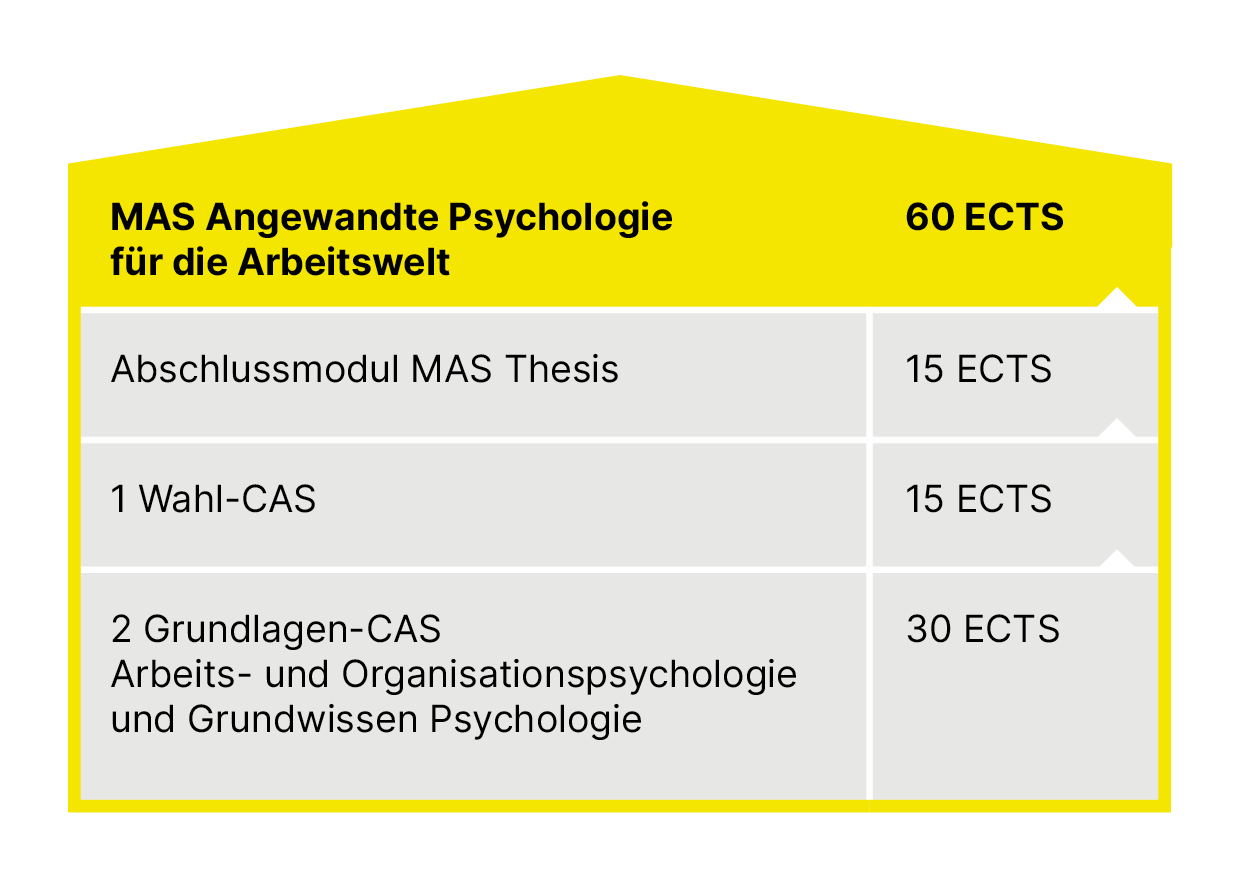 Grafik_Aufbau_MAS APA Psychology at Work.jpg