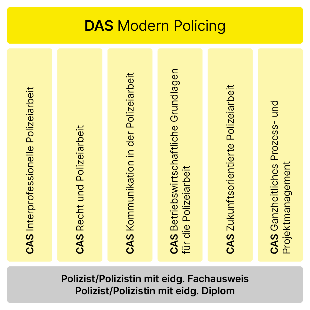 DAS Modern Policing