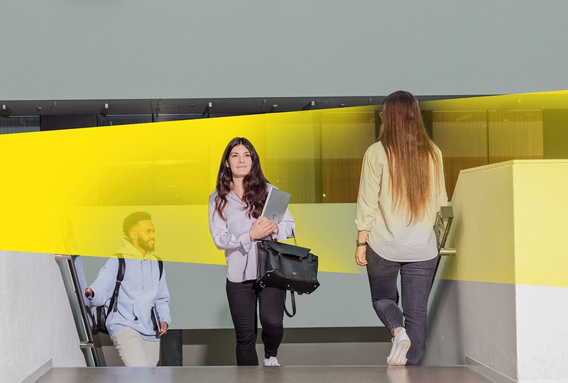 Online Info-Abend Master in International Management