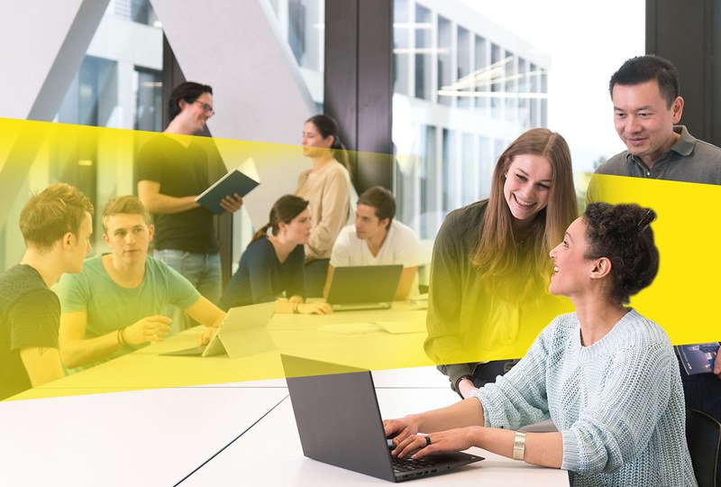 Online Info-Abend Master in Sustainable Business Development (trinational)