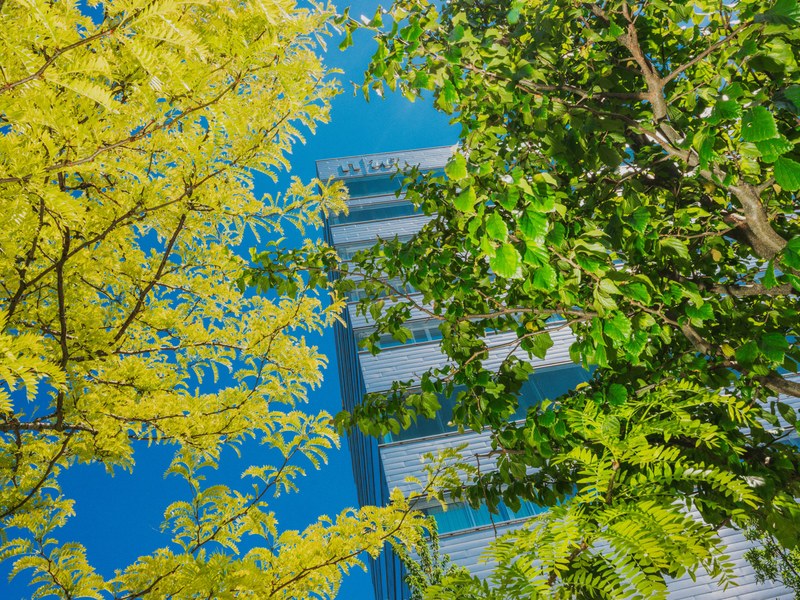 21-5-2026_FHNW_HGK_GREENING_CAMPUS_2_Pati-Grabowicz_HIGHRES-22_web.jpg