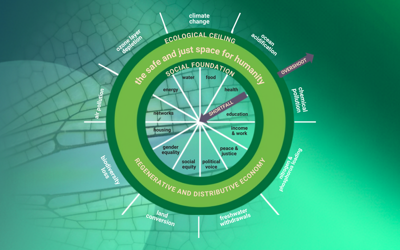 Social_Innovation_and_Entrepreneurship.png