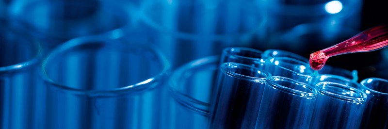 Group photo of the employees of the Institute for Chemistry and Bioanalytics