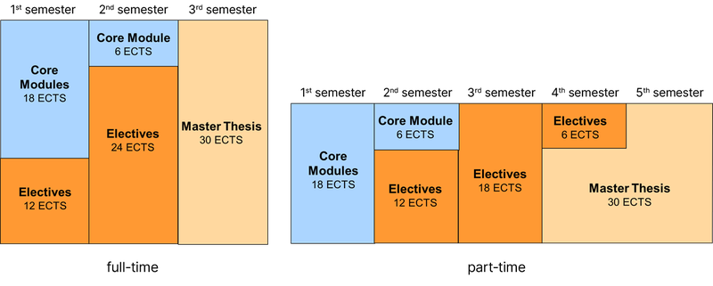 Programme structure MSc Medical Informatics