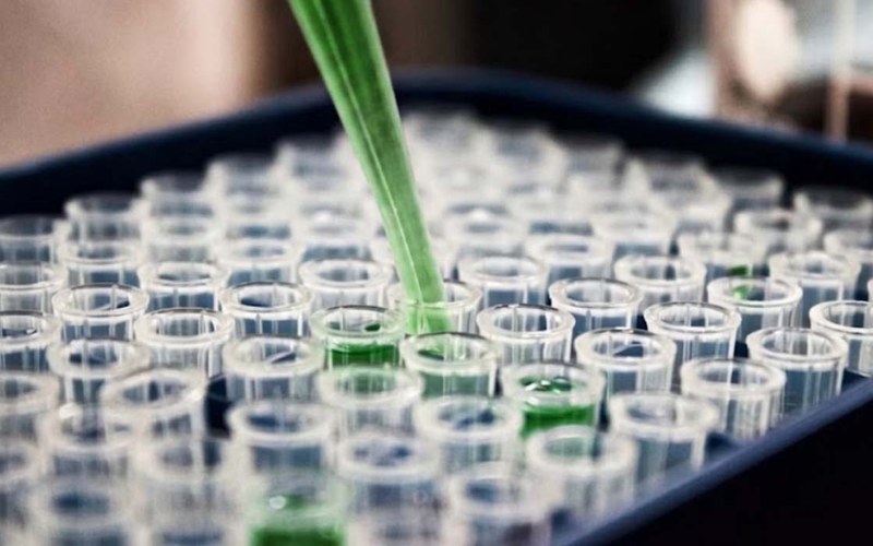 Circular solutions for life sciences