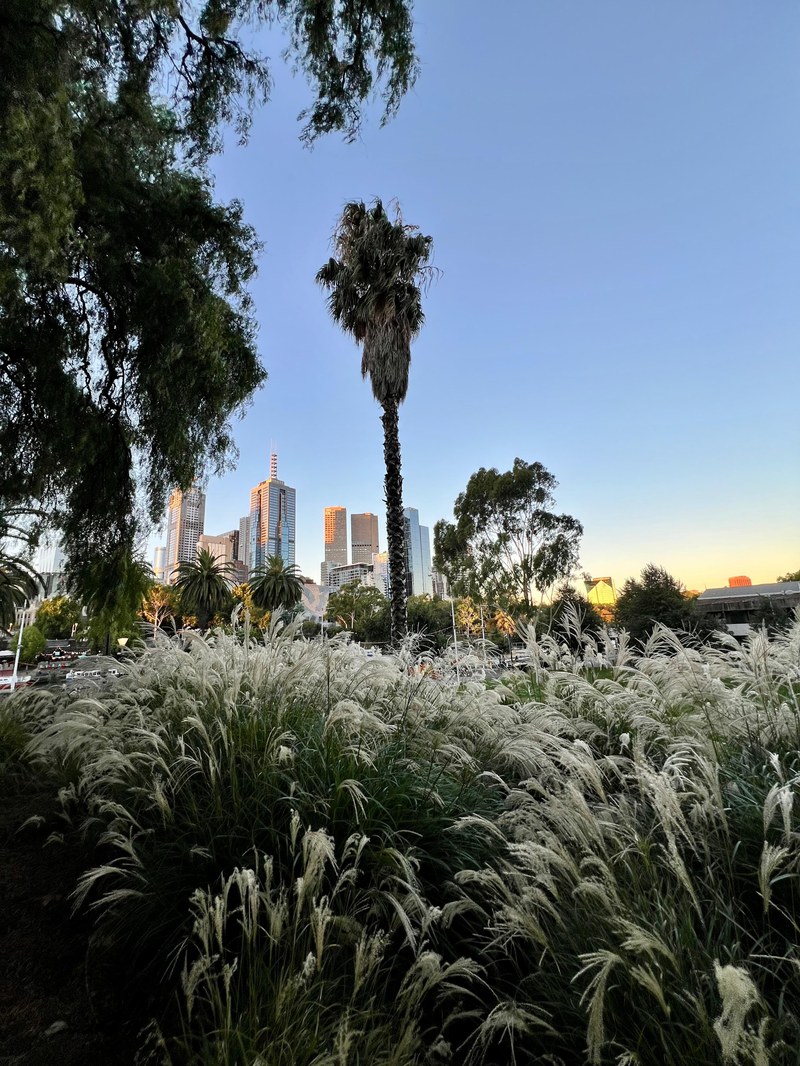 Melbourne.jpg