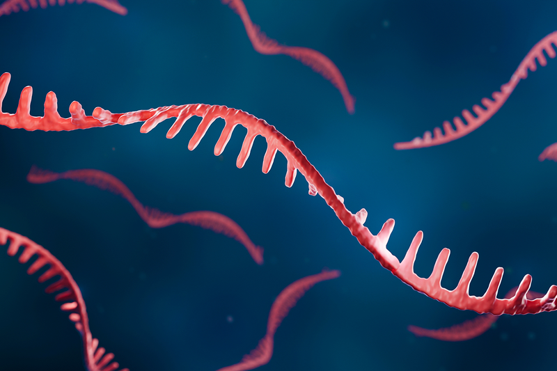 RNA_1200X800.png