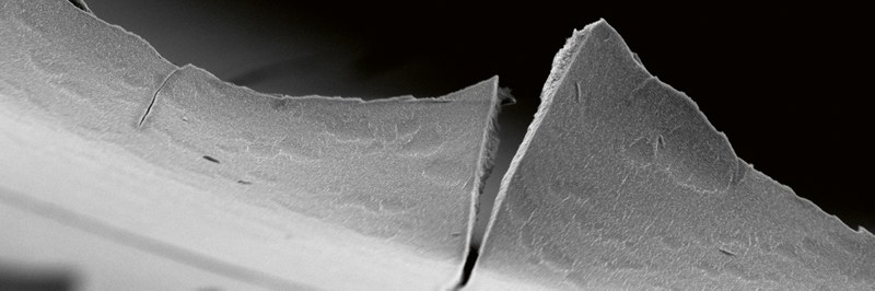 Membranen nach Mass.jpg