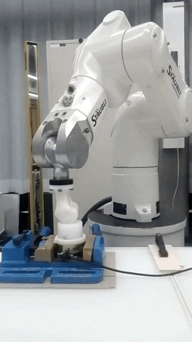 Animated GIF-downsized_large.gif