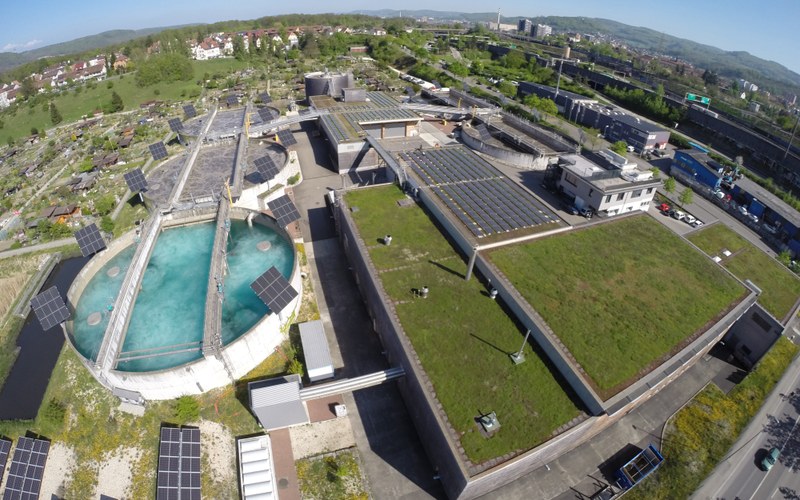 Bild 1_ Eintragsversuche SBR ARA Birs.jpg