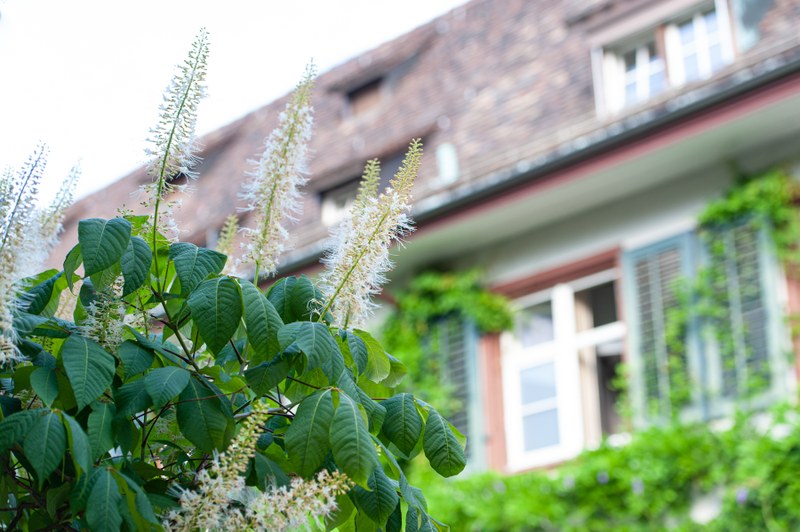 MedRen Basel 2019_© Susanna Drescher_417.jpg