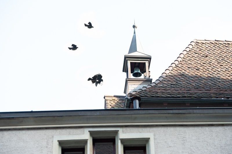 MedRen Basel 2019_© Susanna Drescher_419.jpg